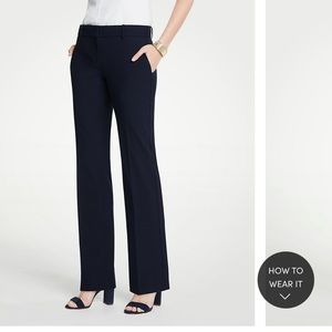 Ann Taylor Navy Trousers in Curvy